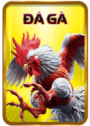 đá gà okfun